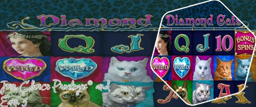 My choice casino