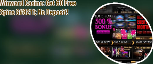 Winward casino 80
